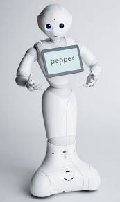 Pepper
